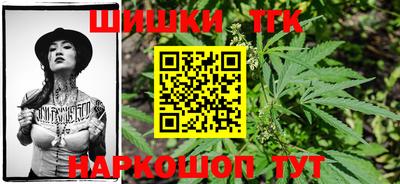 mdpv Рыбинск